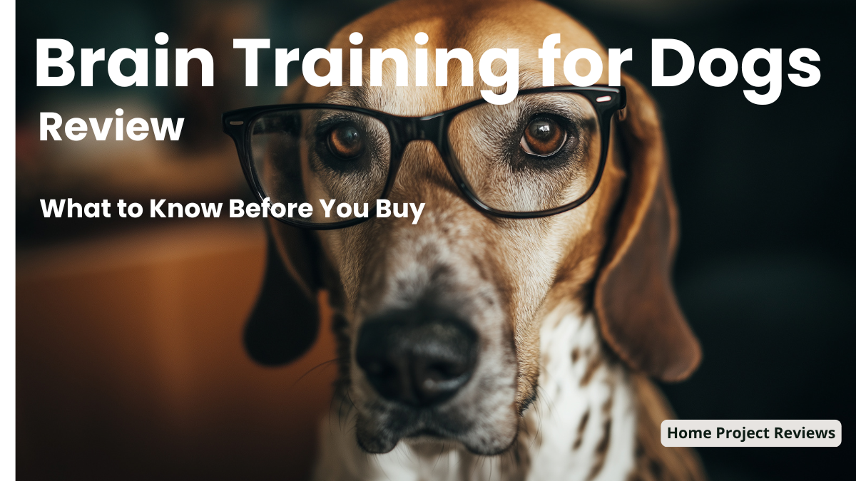 Brain Training for Dogs review hero image with dog wearing glasses