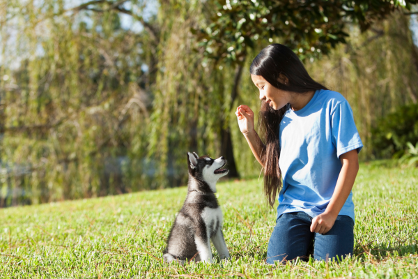 Dog owner training a puppy outdoors with a reward